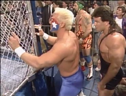 Wrestlewar 1991 22.jpg (94 KB)