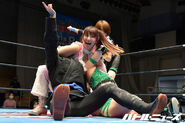 April 24, 2021 Ice Ribbon 14