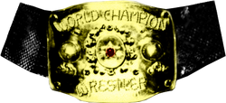 AWA World Heavyweight Championship, Pro Wrestling