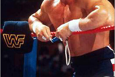 Davey Boy Smith, Pro Wrestling Wiki