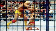 Steel Cage Images.6