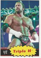 2012 WWE Heritage Trading Cards Triple H 40