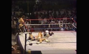 5.19.86 Prime Time Wrestling.00018.jpg (70 KB)