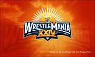 WrestleMania 24 (2008)