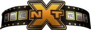 WWE NXT Title