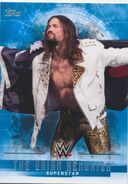 2017 WWE Undisputed Wrestling Cards (Topps) The Brian Kendrick 5