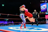 CMLL 7-23-21 5.jpg (204 KB)