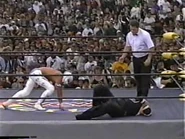 Road Wild 1997.00009.jpg (25 KB)