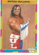 1995 WWF Wrestling Trading Cards (Merlin) British Bulldog 7