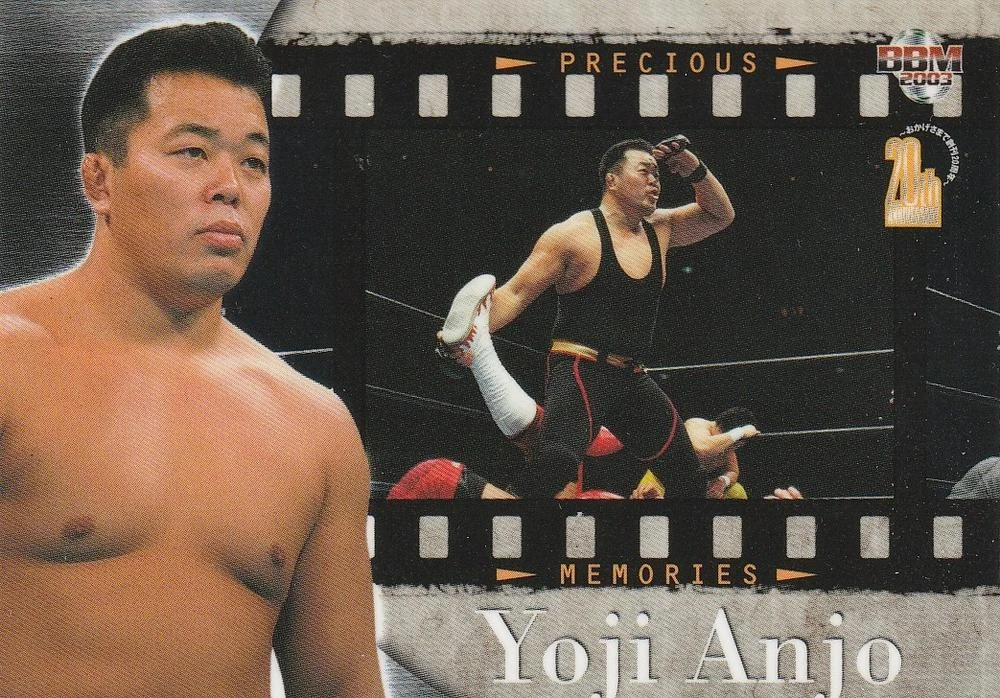 Yoji Anjo/Merchandise Pro Wrestling Fandom
