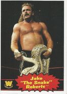 2012 WWE Heritage Trading Cards Jake Roberts 83