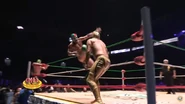 CMLL Informa (May 13, 2015) 34.jpg (61 KB)