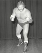 Ole Anderson 3