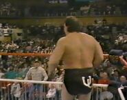 1.16.88 WWF Superstars.00010