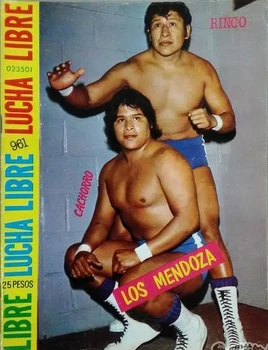 Lucha Libre 961