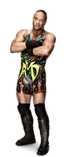 Rob Van Dam
