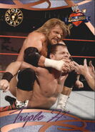2004 WWE Divas 2005 (Fleer) Triple H (No.66)