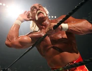 SummerSlam 2006.17.jpg (31 KB)