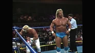 SuperBrawl II.00027.jpg (46 KB)