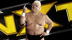 Dusty Rhodes Tag Team Classic Tournament (2015)