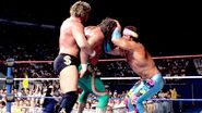 Royal Rumble 1990.12
