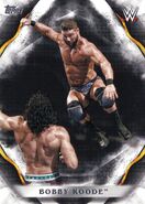 2019 Topps WWE Undisputed Wrestling Cards Bobby Roode (No.14)