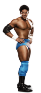 73 - Darren Young