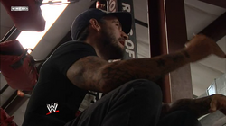 Cm Punk Best In The World Dvd Pro Wrestling Fandom