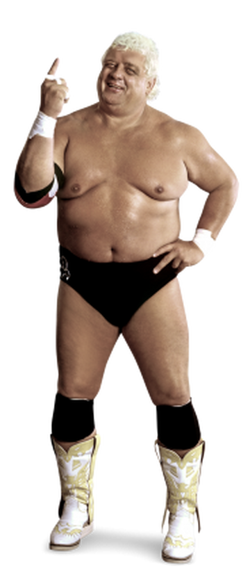https://static.wikia.nocookie.net/prowrestling/images/e/ef/Dustyrhodes.png/revision/latest/scale-to-width/360?cb=20150906194317