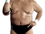 Dusty Rhodes