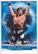 2017 WWE Undisputed Wrestling Cards (Topps) Shawn Michaels (No.67)
