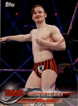 2018 WWE Wrestling Cards (Topps) Jack Gallagher 33