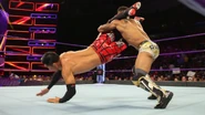 205 Live 8-14-18 4.jpg (85 KB)