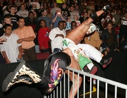 Reychavolegdrop.jpg (57 KB)