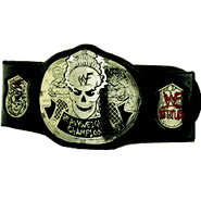 Stone Cold Steve Austin's Championship Belt