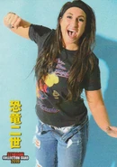 2019 Stardom Collection Card Rachael Ellering (No.151)