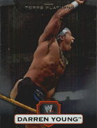 2010 WWE Platinum Trading Cards Darren Young 18