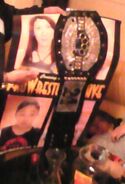 Pro Wrestling WAVE Poster 781st Champion (April 24, 2009 - April 28, 2009)