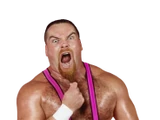 Jim Neidhart