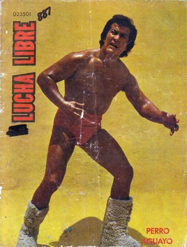 Lucha Libre 887