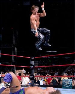 Shawnmichaels