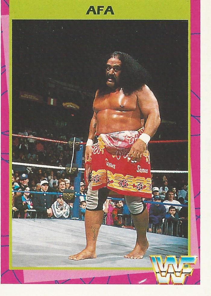 1995 WWF Wrestling Trading Cards (Merlin) Afa (No.173) Pro Wrestling