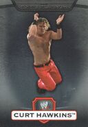 2010 WWE Platinum Trading Cards (Topps) Curt Hawkins (No.43)