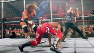 HBK V HHH Hell-in-a-Cell 04 1