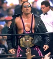 Bret Hart 27th Champion (November 30, 1998 - February 8, 1999)