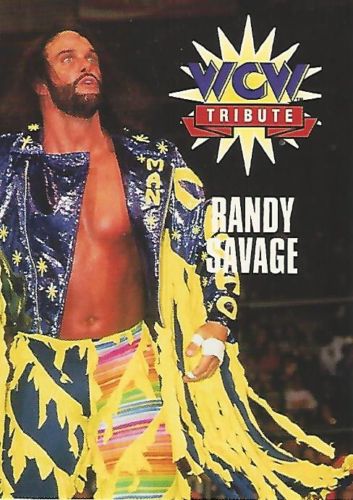 1995 WCW Main Event Trading Cards (Cardz) Randy Savage (No