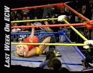 4-25-95 ECW Hardcore TV 2.jpg (74 KB)