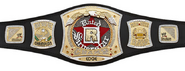 Edge's Rated R Spinner Championship (2006)