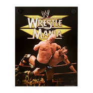 Steve Austin & The Rock WrestleMania XV Acrylic Wall Art
