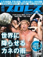 Weekly Pro Wrestling No. 1911 July 19, 2017